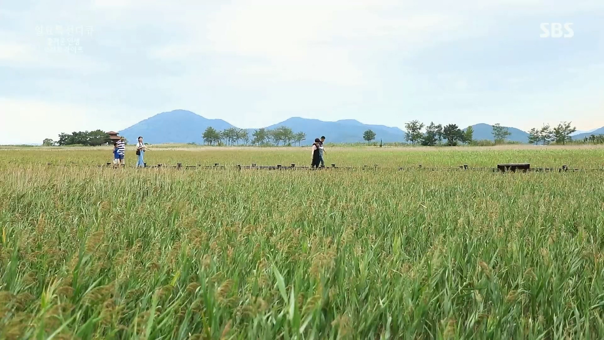 일요 특선 다큐멘터리.E292.221016p.H264-F1RST.mp4_20221018_183556.041.jpg