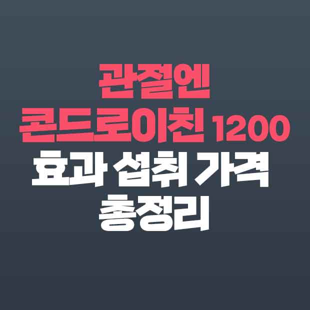  관절엔 콘드로이친 1200 효능 성분 가격 부작용 총정리