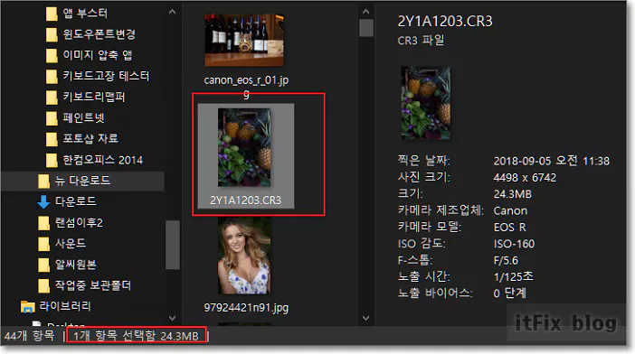  파일 탐색기에서 원시 이미지 파일 메타 데이터 바로 보기