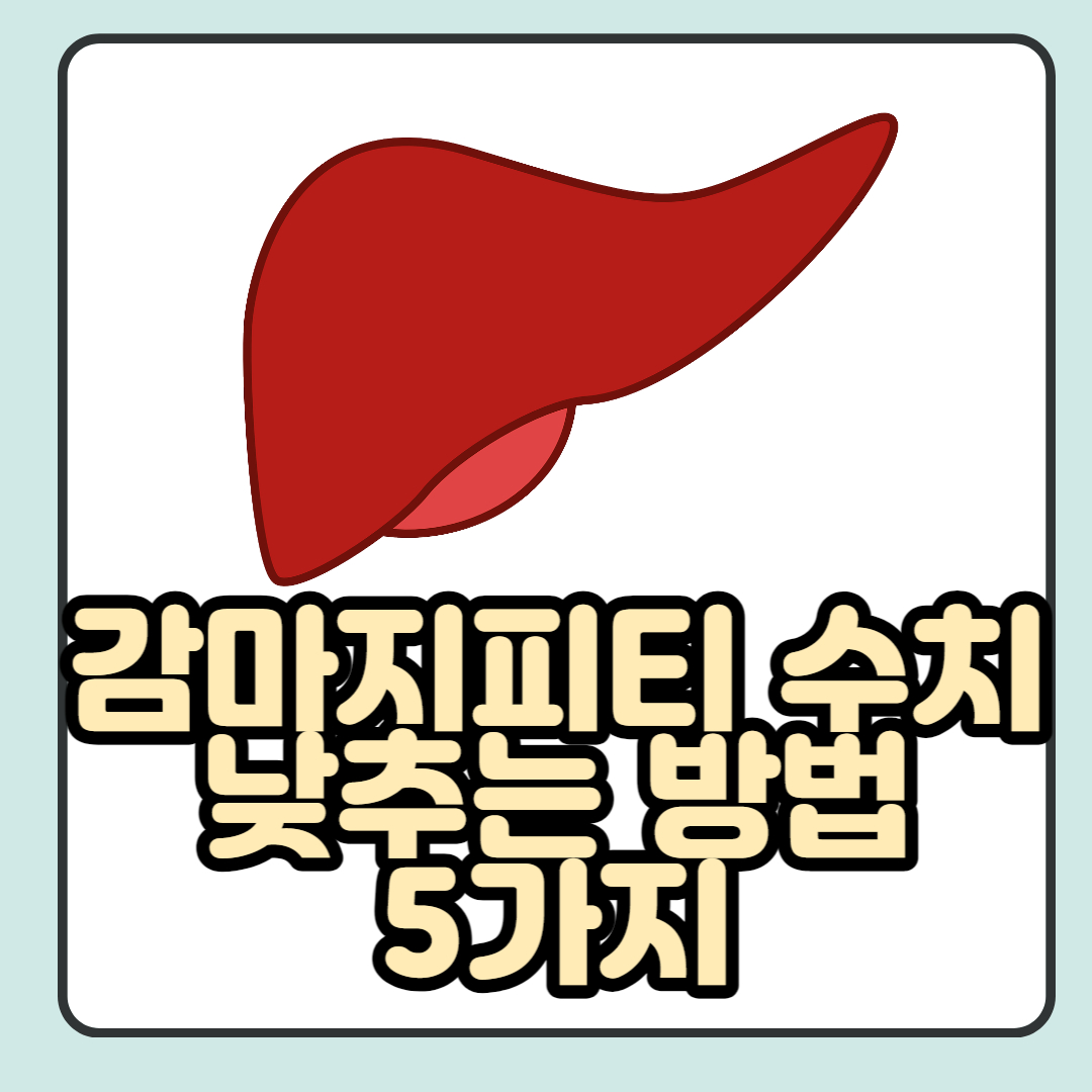  감마지티피 수치 낮추는 방법 5가지, 정상 수치 범위 등 총 정리