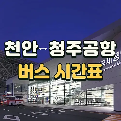 천안에서-청주공항-가는-버스-시간표-코리아텍-경유