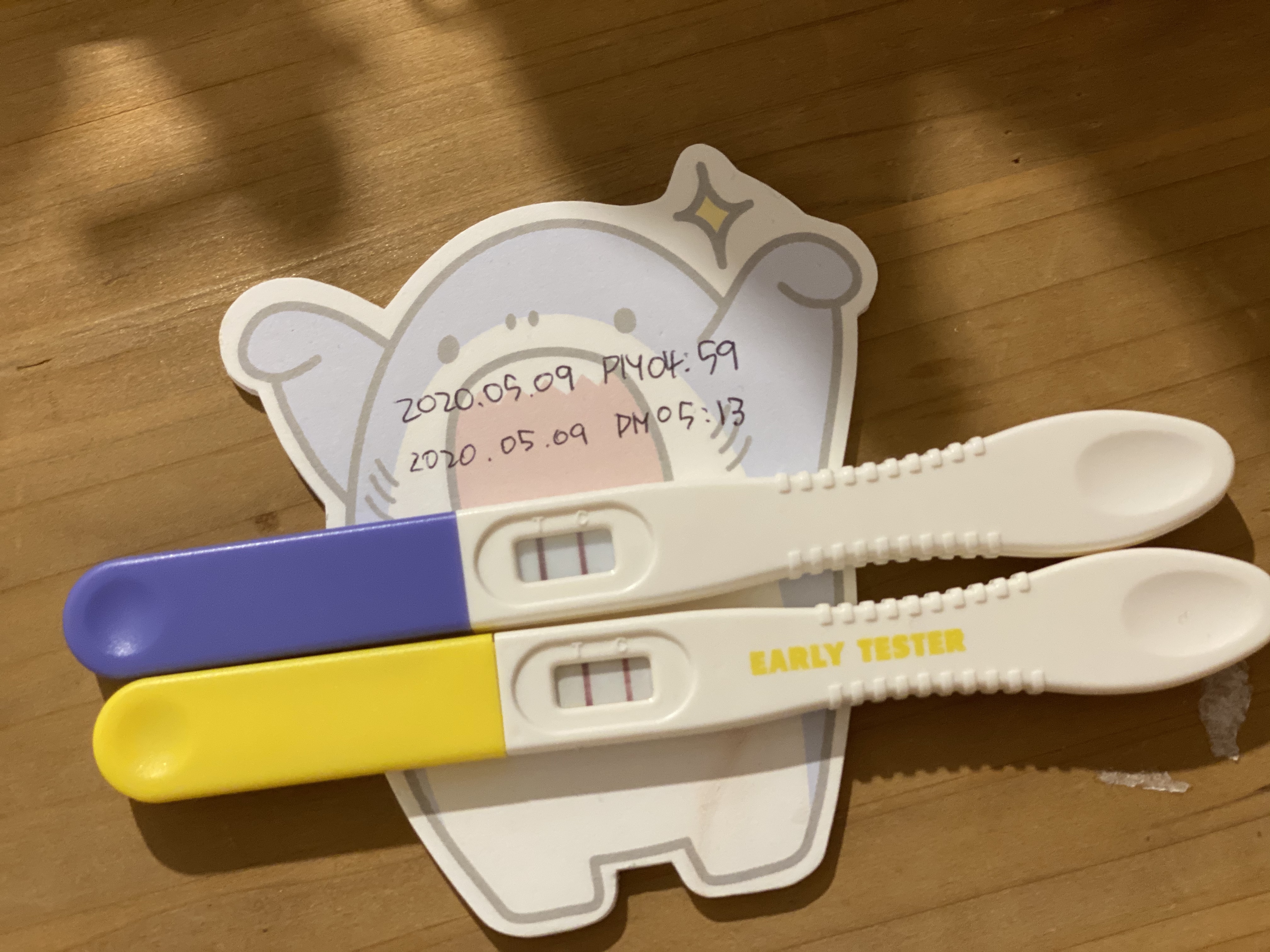  [임신/4주차] 임신 테스트기 사용, 그리고 임신 확인.