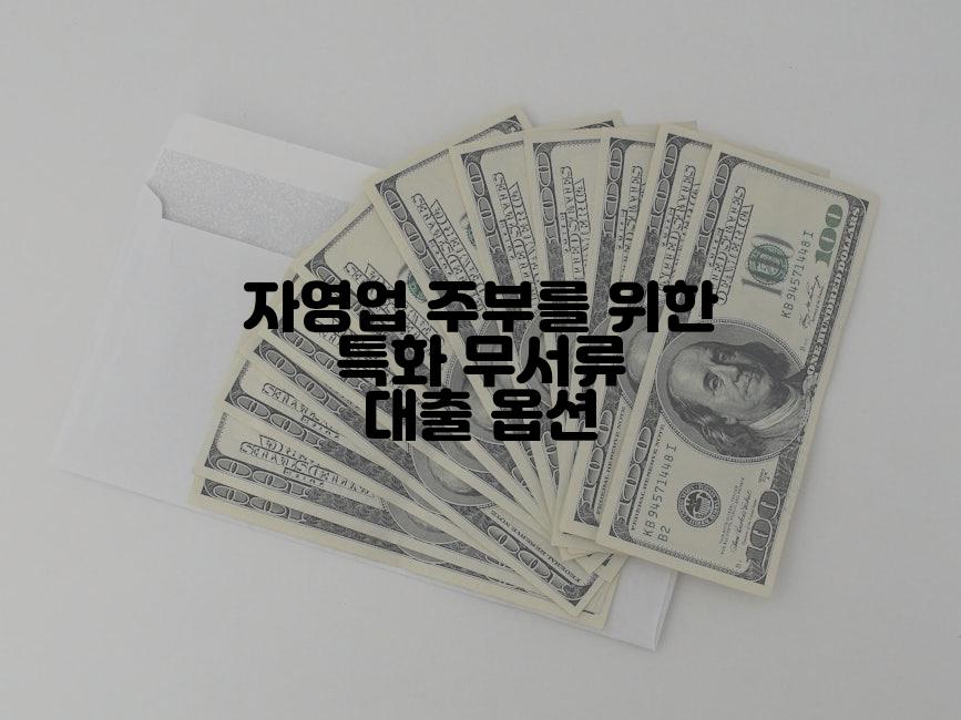 자영업 주부를 위한 특화 무서류 대출 옵션