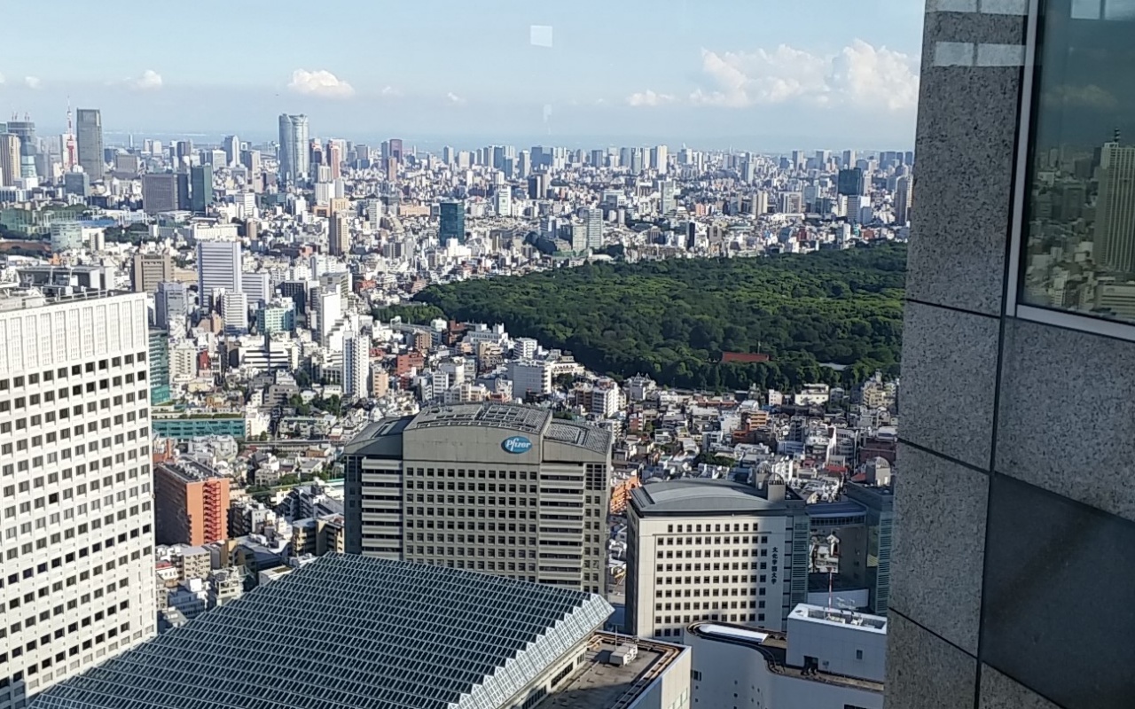 일본 도청에서 본 전경 신주쿠공원이 보인다