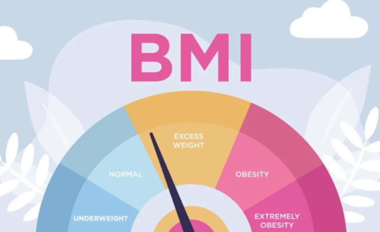 BMI 정상범위