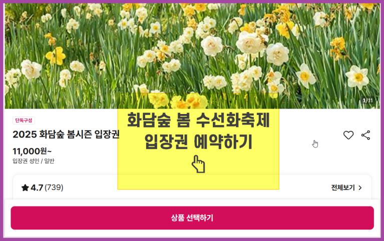 화담숲 봄 수선화축제 예약