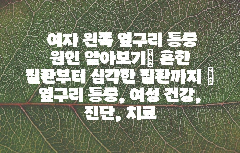 샘플 (43)