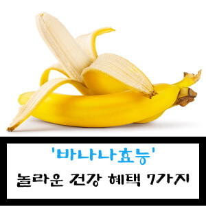 바나나효능