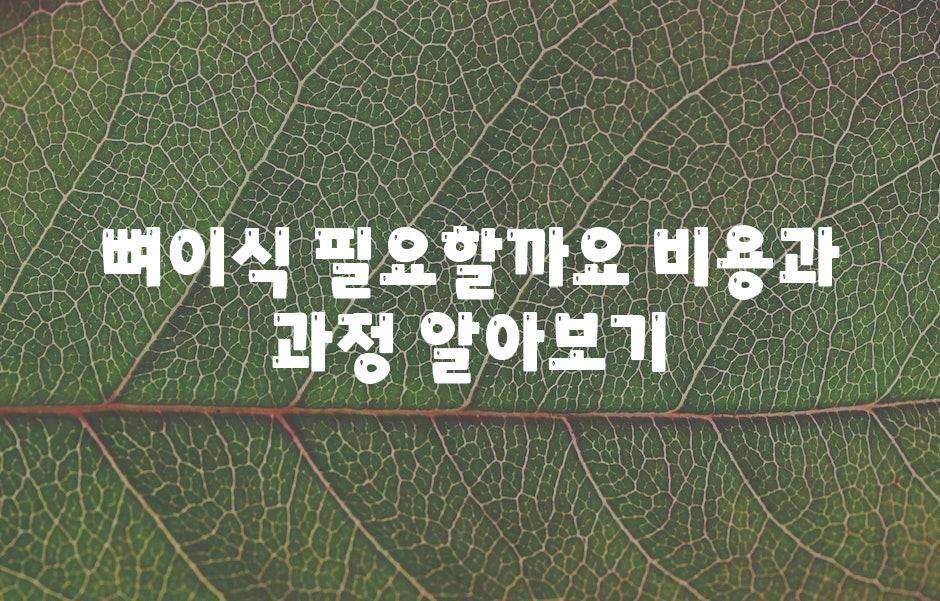 뼈이식 필요할까요? 비용과 과정 알아보기