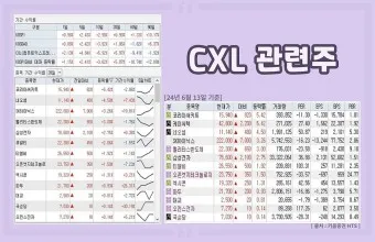 CXL 대장주 관련주 TOP5 총정리_12