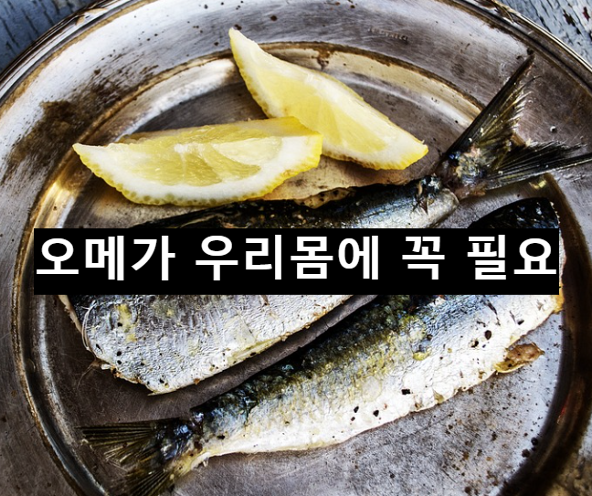  우리 몸에 꼭 필요한 오메가