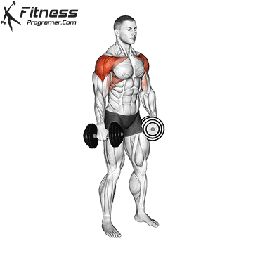 Dumbbell 4way lateral raise