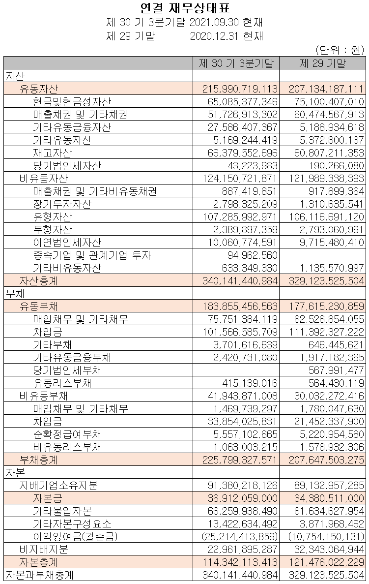 (주)캠시스 재무상태표