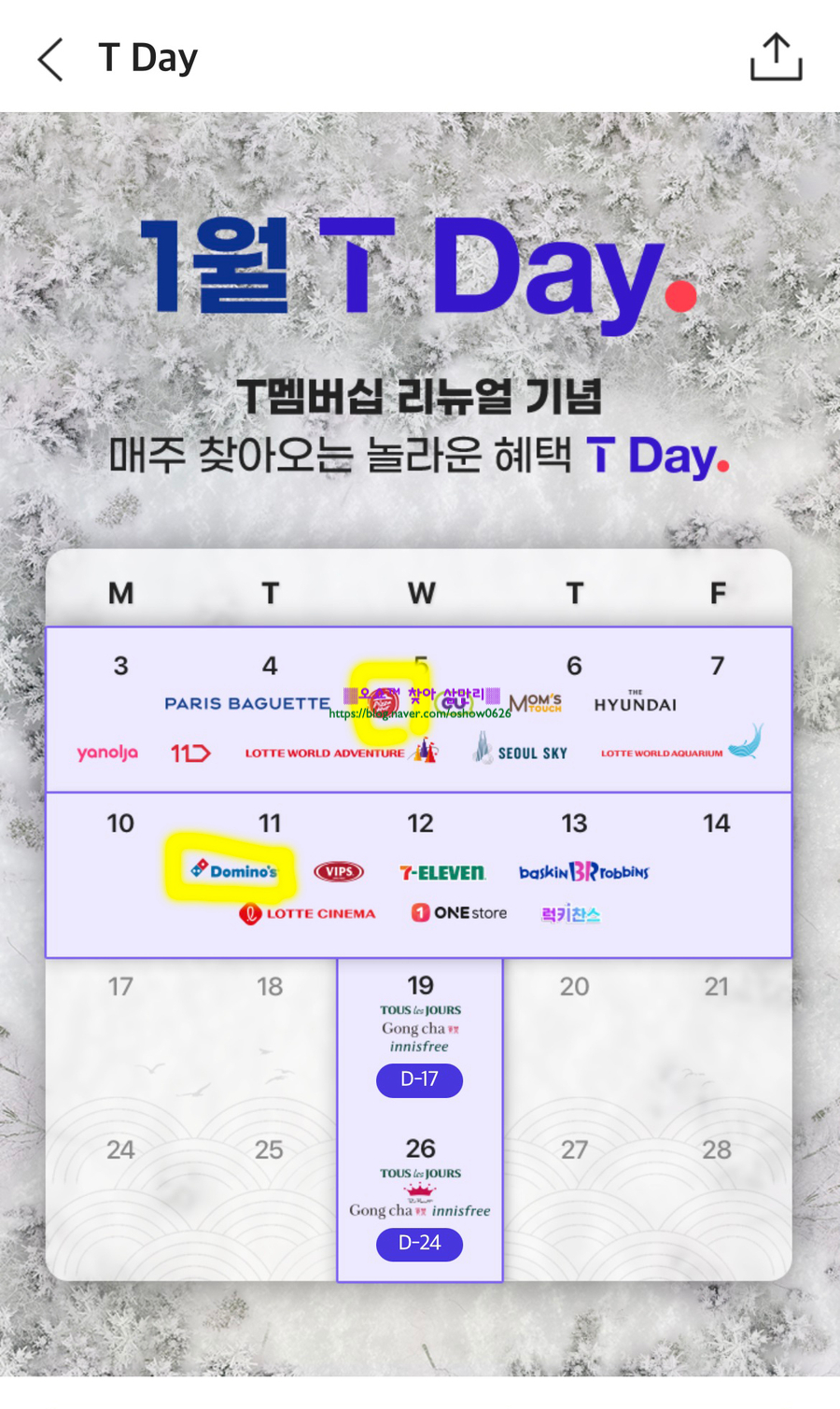 티멤버십 티데이 50%할인 내돈내산 6