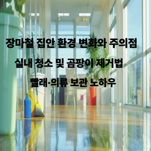 장마철-청소
