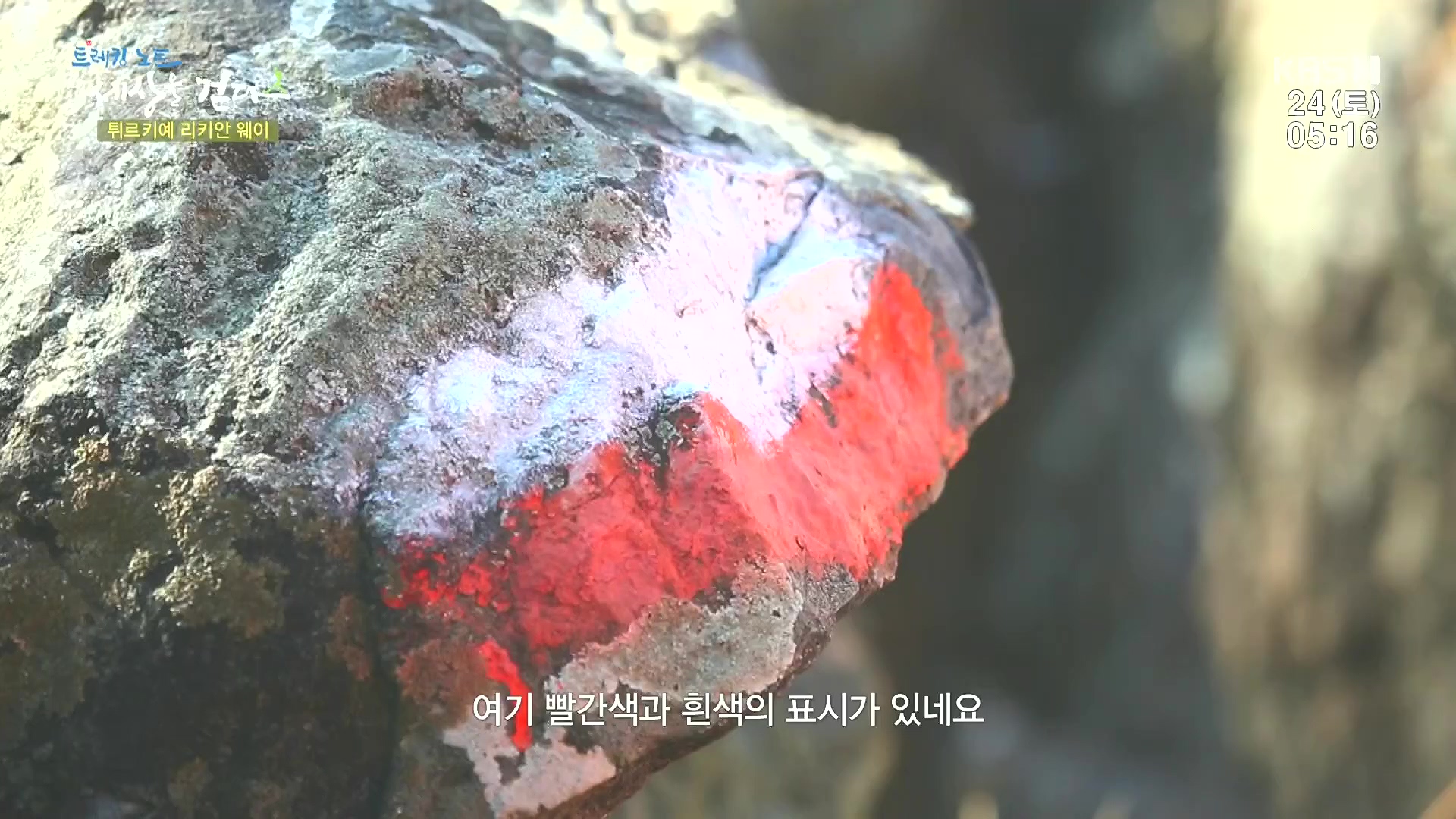트레킹노트 세상을 걷다.E309.240224p.H264-F1RST.mp4_20240808_195652.424.jpg