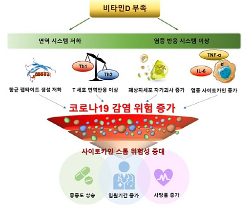 ◆ 비타민 D 부족이 코로나19 감염에 미치는 영향.