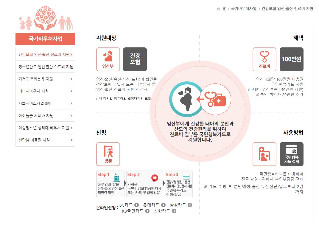 국민행복카드 발급 방법 및 카드사별 혜택 비교 포스팅 이미지 09