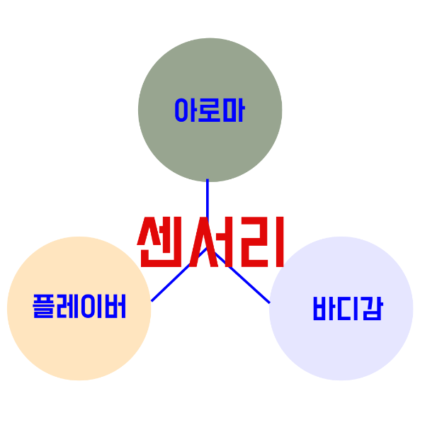 커피 센서리의 목적과 요소 그리고 표현 방법_센서리 요소