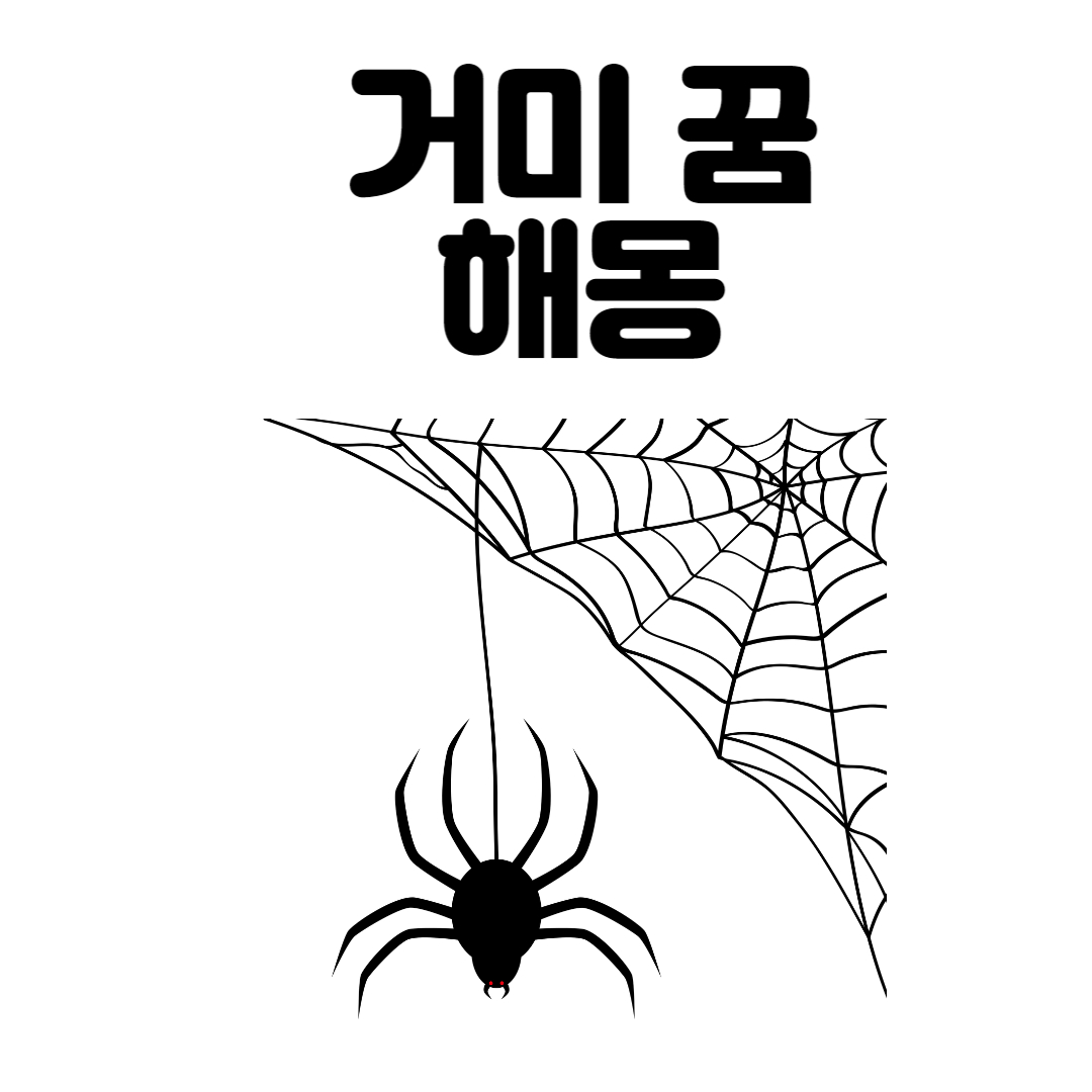  거미 꿈 해몽 20가지 총 정리