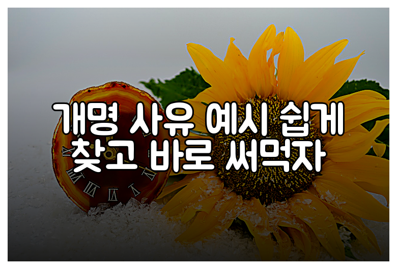 개명 사유 예시 쉽게 찾고 바로 써먹자