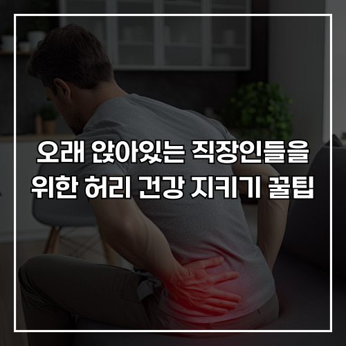 오래 앉아있는 직장인들을 위한 허리 건강 지키기 꿀팁