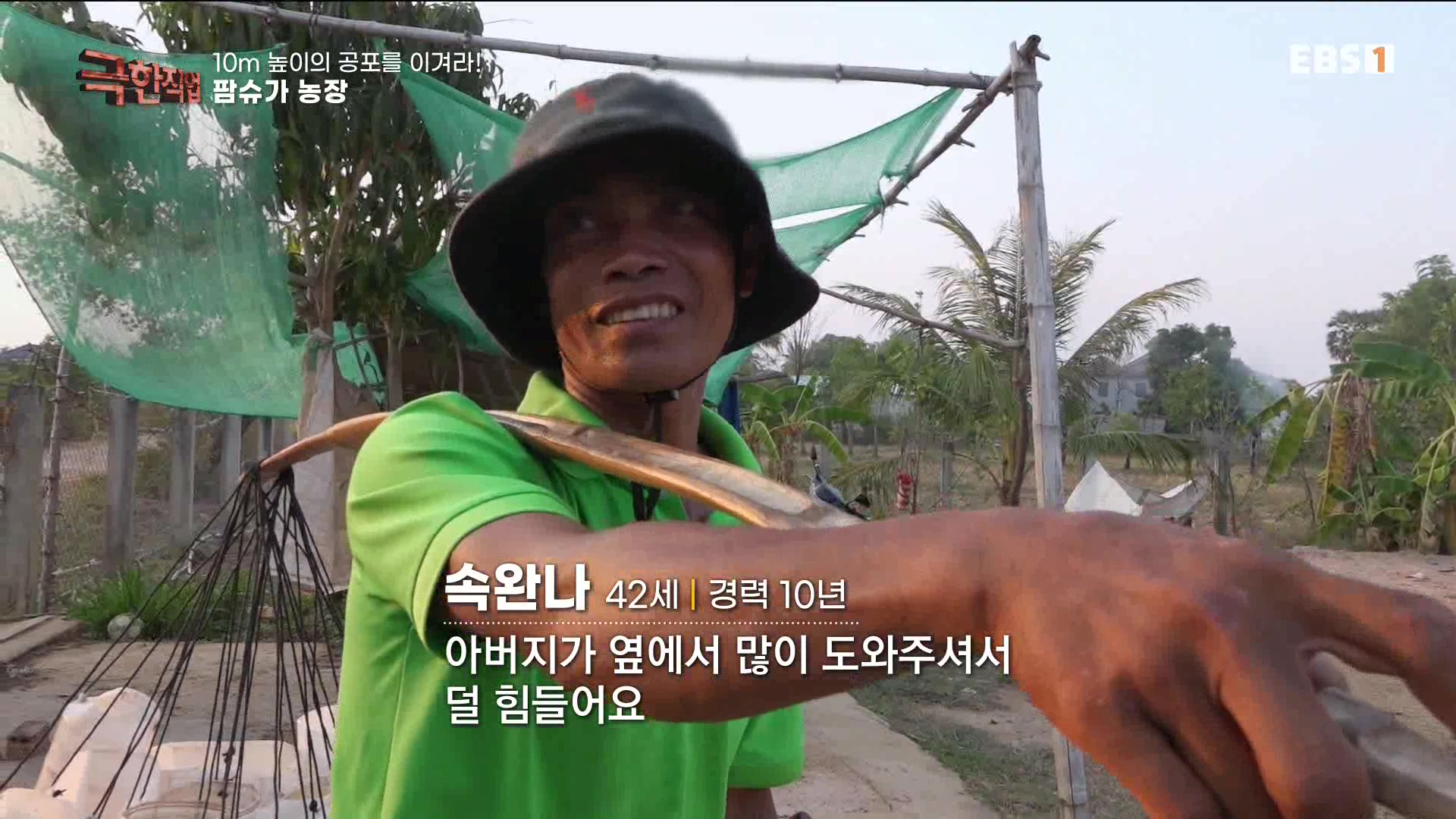 [극한 직업] 캄보디아 팜슈가 농장 230624.mp4_20230701_185230.775.jpg