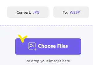 변환할 이미지를 선택하기 위해 Choose Files 버튼을 클릭하는 화면