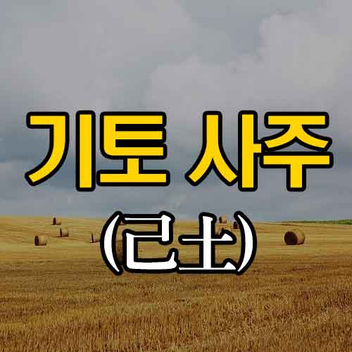 기토 사주