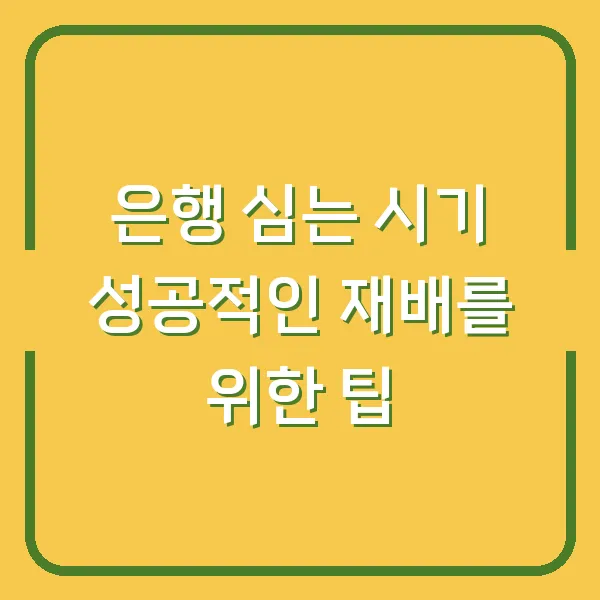 은행 심는 시기 성공적인 재배를 위한 팁