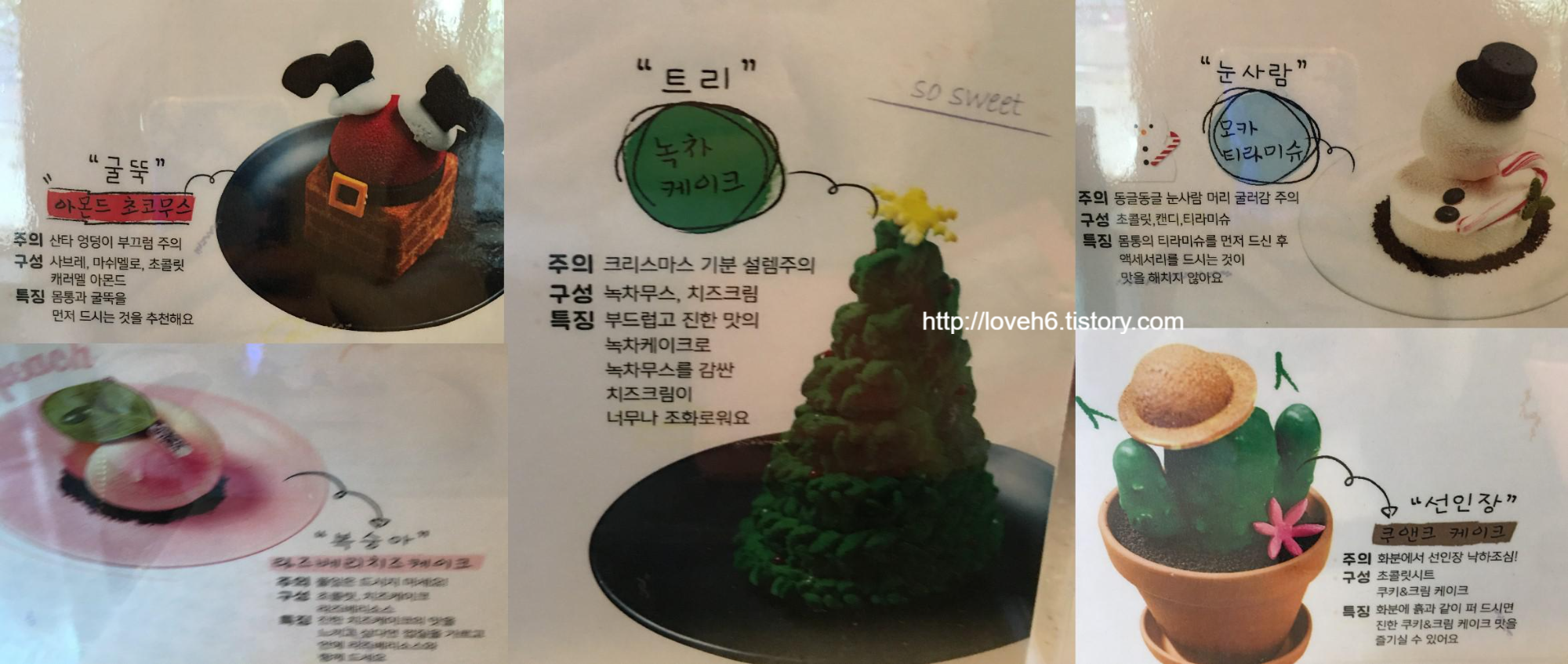 치즈케익연구소 이미지