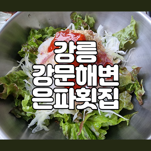 강릉가면 무조건 먹는 강문해변 은파횟집 잡어회덮밥 내돈내먹