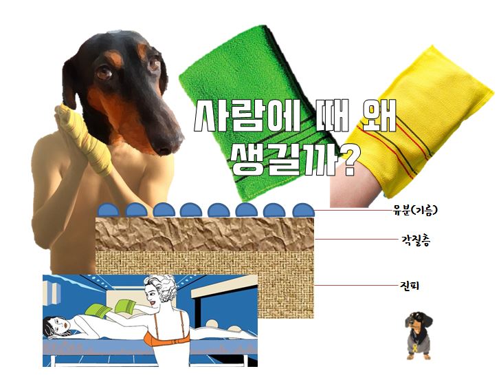  때는 왜 밀까? 왜 사람에 몸에서 때가 나올까?