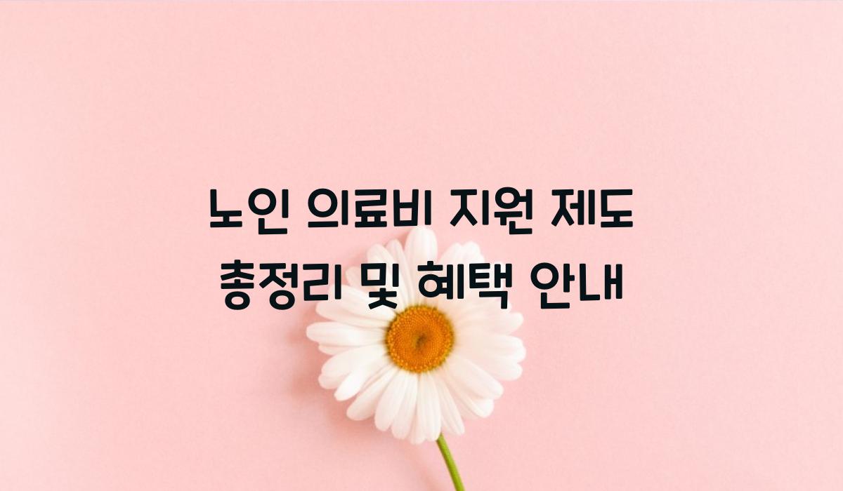 노인 의료비 지원 제도 총정리