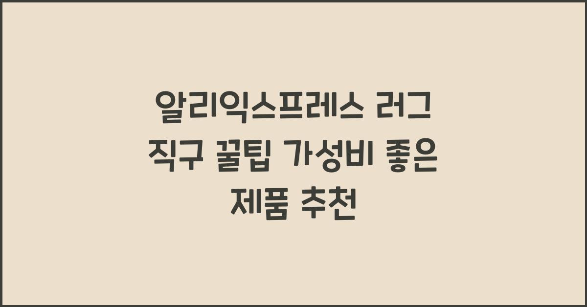 알리익스프레스 러그 직구  