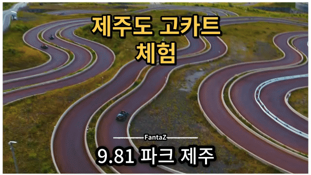  [제주도 9.81 파크 제주] 실패 없는 고카트 체험 최고 스피드 대결 Go Go