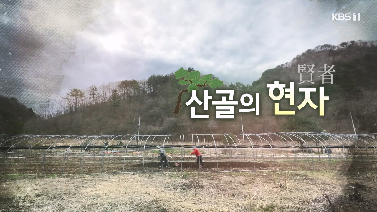 다큐 온.E245.240414p-NEXT.mp4_20240414_140120.054.jpg