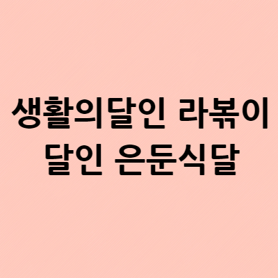  생활의달인 라볶이 달인 은둔식달 807회 노원구 위치 장소 어디? 중계동 영스낵
