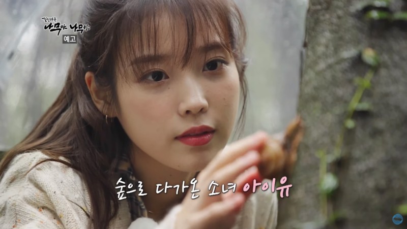  나무야나무야 아이유 힐링 다큐 제주
