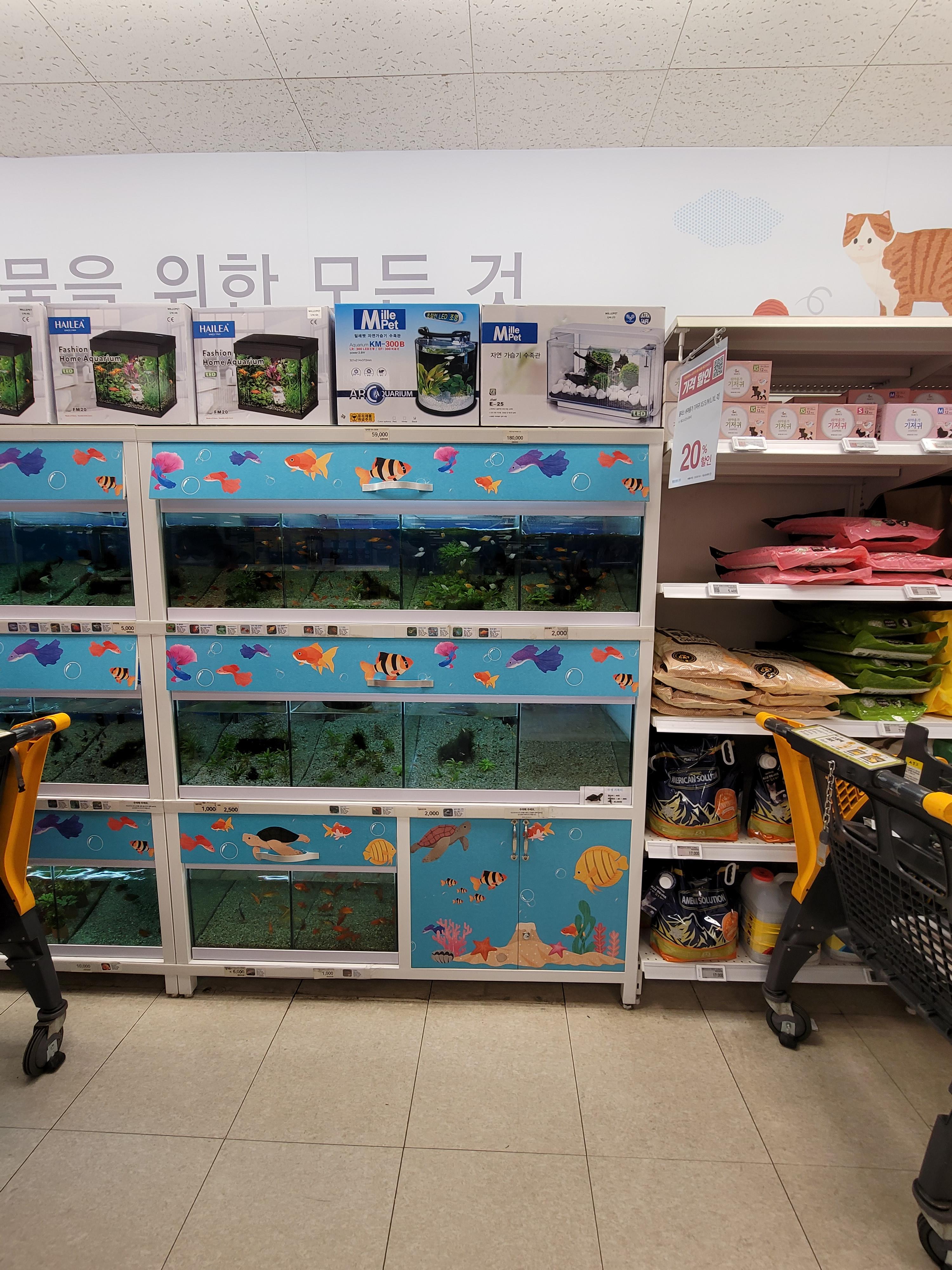 이마트파주점 이미지