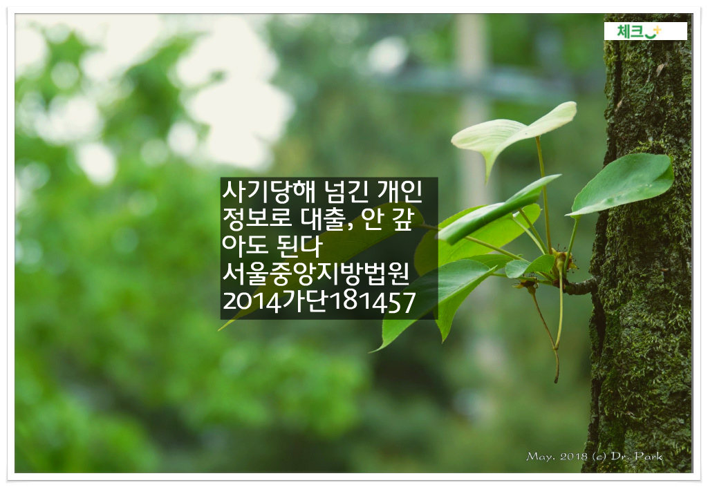 사기당해 넘긴 개인정보로 대출, 안 갚아도 된다