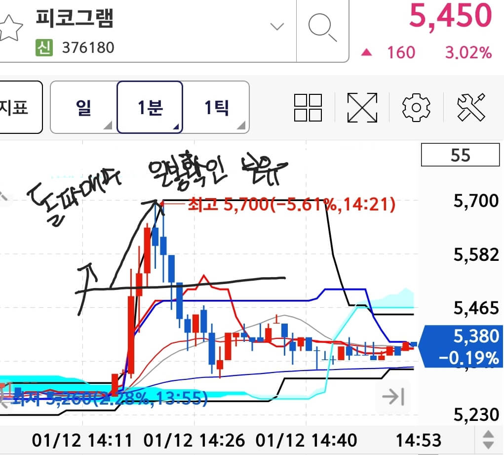 피코그램-분봉차트