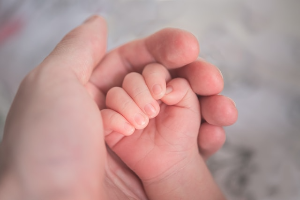 2세~3세 아이의 정서적 발달 과정