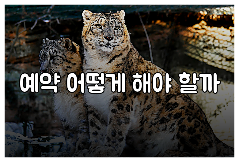 예약 어떻게 해야 할까