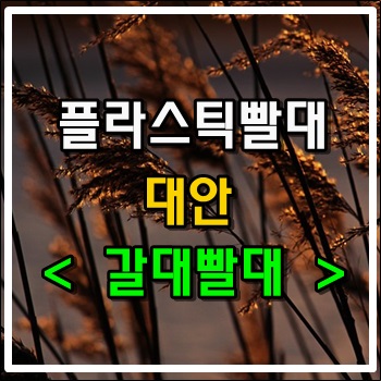  플라스틱 빨대 대안으로 떠오른 갈대빨대