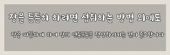  장을 튼튼히 하려면 섭취하는 방법 외에도 장을 따뜻하게 하여 장의 연동운동을 정상화시키는 것이 중요합니다