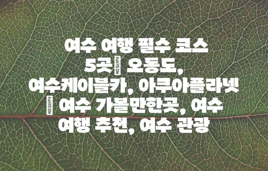 샘플 (43)