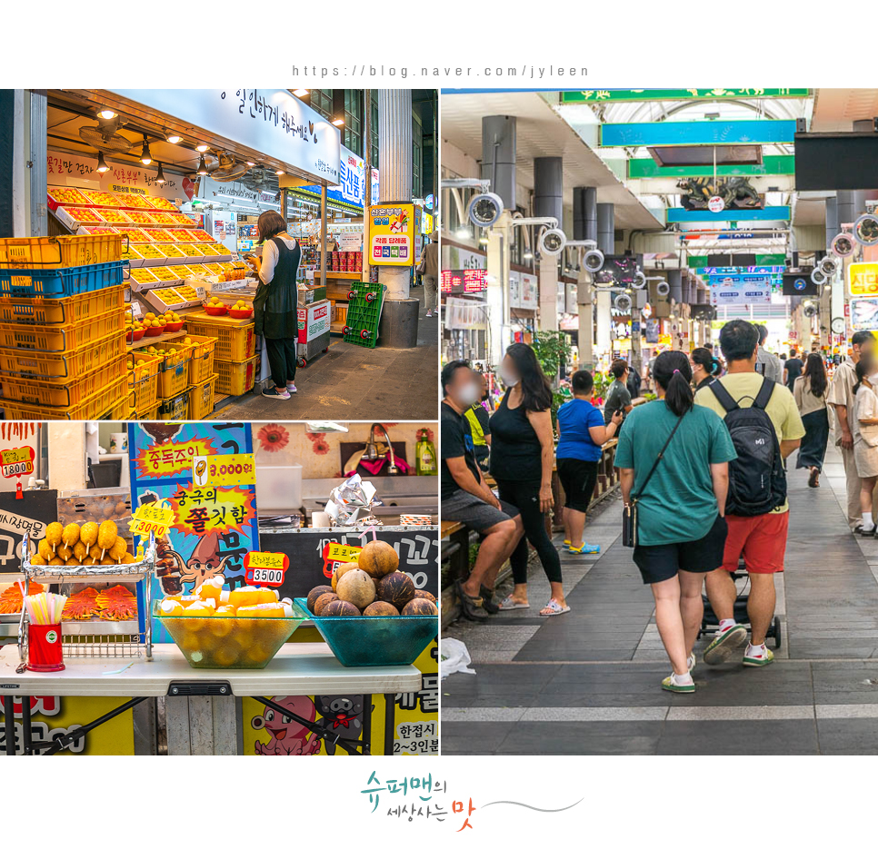 승합차렌트 제주도 2