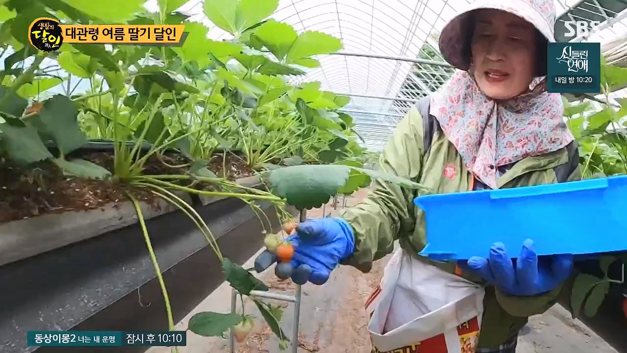 생활의 달인.E941.240625p-NEXT.mp4_20240625_211151.339.jpg