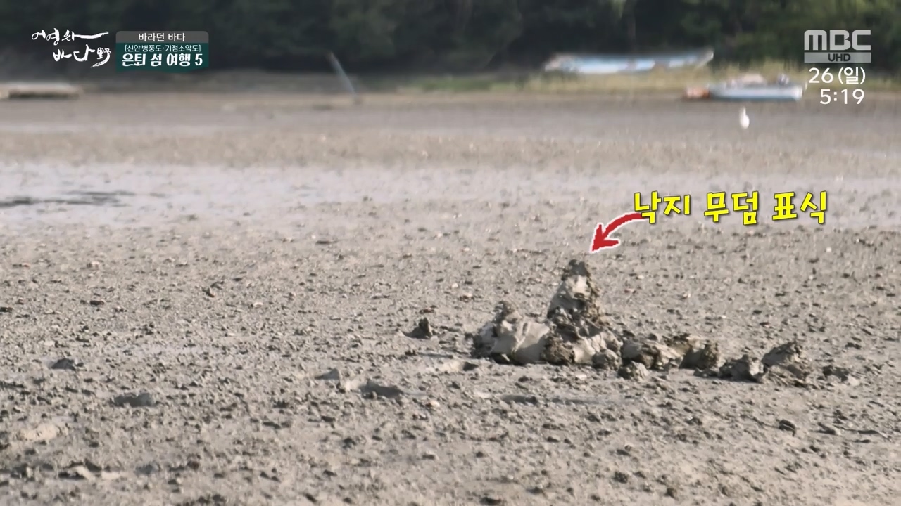 MBC 네트워크 특선 푸른백세 어영차 바다야.E1650.231127p-NEXT.mp4_20231202_165905.188.jpg